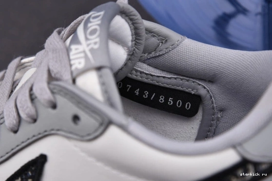 Air 553668-998 553668-998 Low X DIOR 1 Jordan 0308